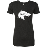T-Shirts Vintage Black / Small Desolation is Coming white Women's Triblend T-Shirt
