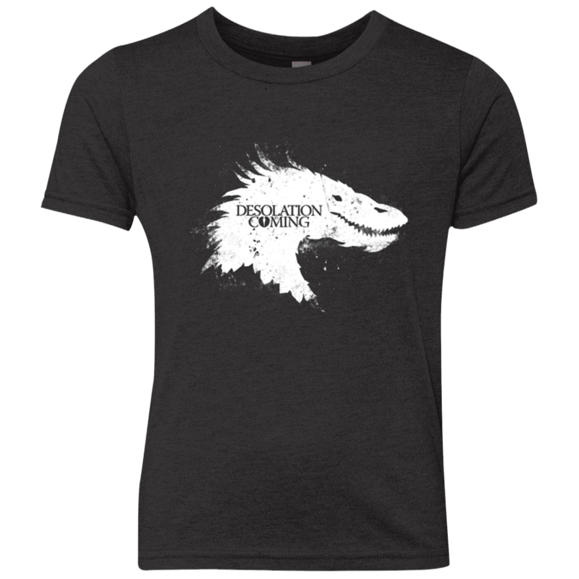 Desolation is Coming white Youth Triblend T-Shirt