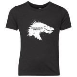 Desolation is Coming white Youth Triblend T-Shirt