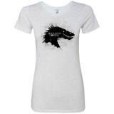 Desolation is Coming Women's Triblend T-Shirt