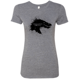 T-Shirts Premium Heather / Small Desolation is Coming Women's Triblend T-Shirt