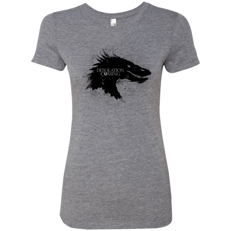 T-Shirts Premium Heather / Small Desolation is Coming Women's Triblend T-Shirt