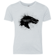 T-Shirts Heather White / YXS Desolation is Coming Youth Triblend T-Shirt