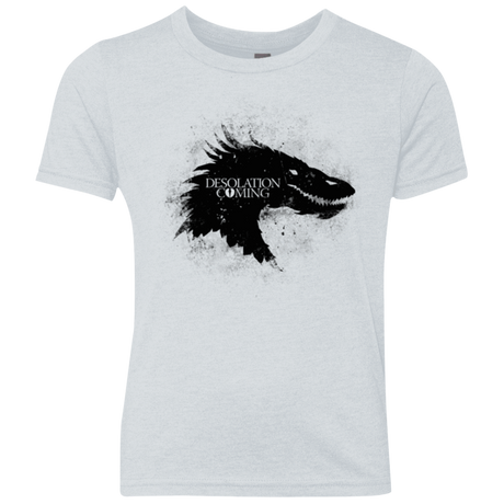 T-Shirts Heather White / YXS Desolation is Coming Youth Triblend T-Shirt