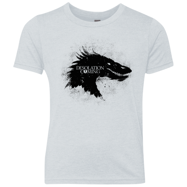 T-Shirts Heather White / YXS Desolation is Coming Youth Triblend T-Shirt