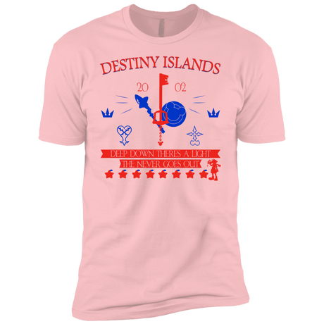 T-Shirts Light Pink / YXS Destiny Island Boys Premium T-Shirt