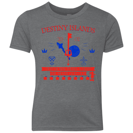 T-Shirts Premium Heather / YXS Destiny Island Youth Triblend T-Shirt