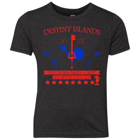 T-Shirts Vintage Black / YXS Destiny Island Youth Triblend T-Shirt