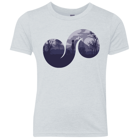 T-Shirts Heather White / YXS Destiny Youth Triblend T-Shirt