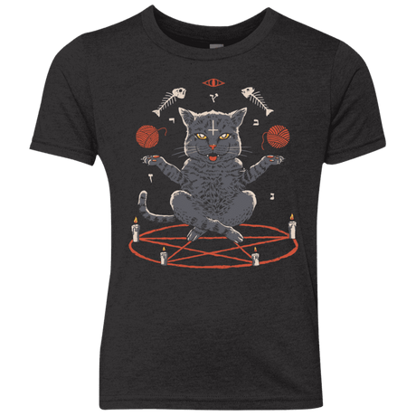 T-Shirts Vintage Black / YXS Devious Cat Youth Triblend T-Shirt