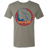 T-Shirts Venetian Grey / S Diana Men's Triblend T-Shirt