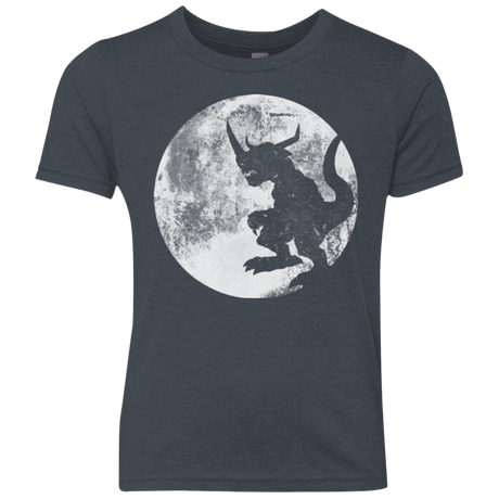 T-Shirts Vintage Navy / YXS Digimon time Youth Triblend T-Shirt