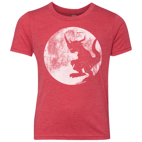 T-Shirts Vintage Red / YXS Digimon time Youth Triblend T-Shirt