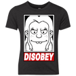 T-Shirts Vintage Black / YXS Disobey Youth Triblend T-Shirt