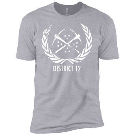 T-Shirts Heather Grey / YXS District 12 Boys Premium T-Shirt
