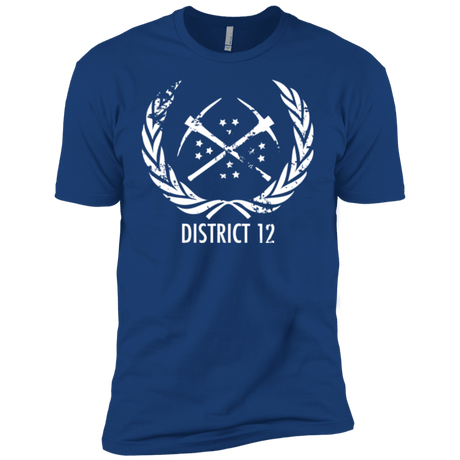 T-Shirts Royal / YXS District 12 Boys Premium T-Shirt