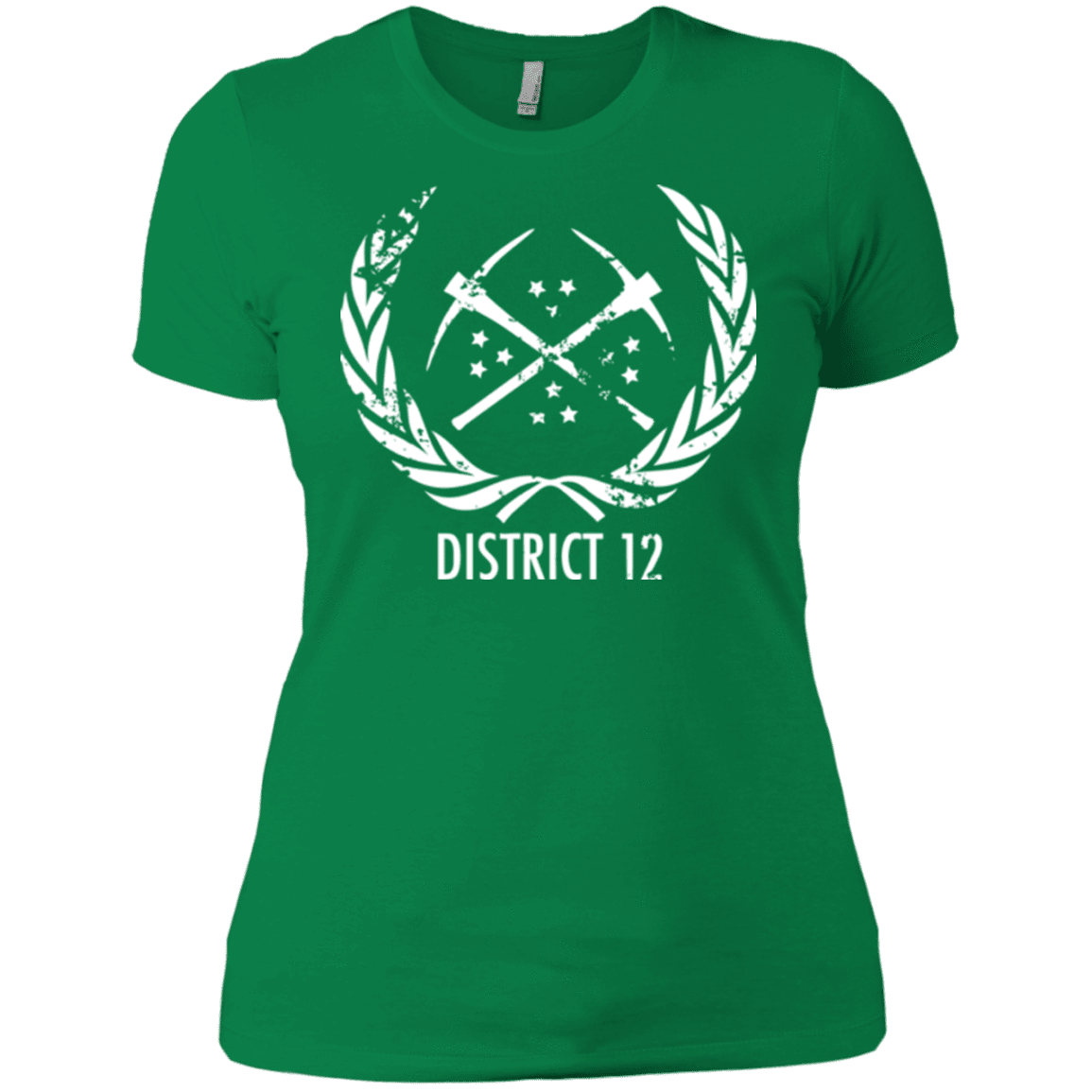 T-Shirts Kelly Green / X-Small District 12 Women's Premium T-Shirt