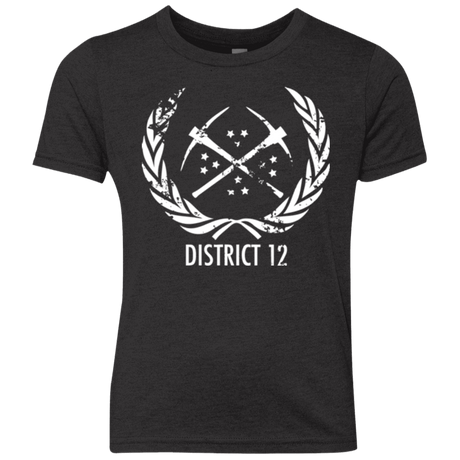 T-Shirts Vintage Black / YXS District 12 Youth Triblend T-Shirt