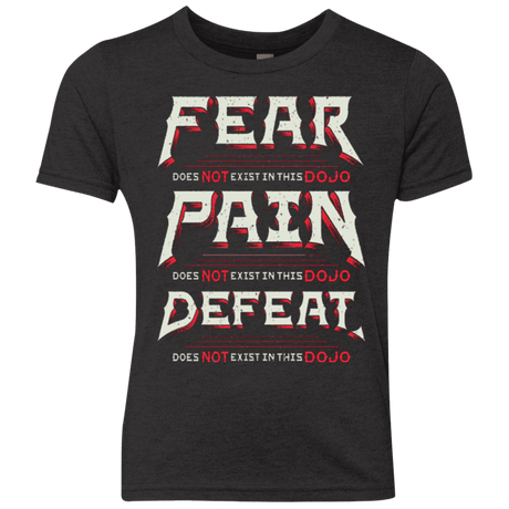 T-Shirts Vintage Black / YXS DOES NOT EXIST Youth Triblend T-Shirt