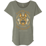 T-Shirts Venetian Grey / X-Small Dogmeat Training Academy Triblend Dolman Sleeve