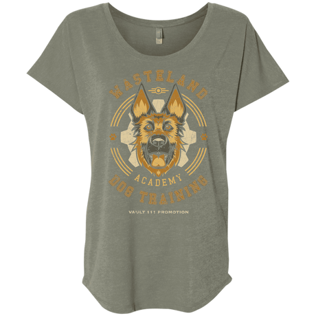 T-Shirts Venetian Grey / X-Small Dogmeat Training Academy Triblend Dolman Sleeve