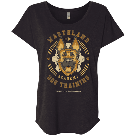 T-Shirts Vintage Black / X-Small Dogmeat Training Academy Triblend Dolman Sleeve