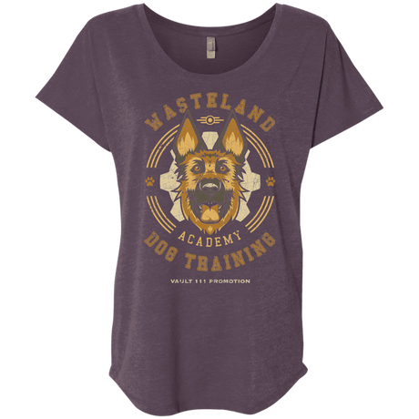 T-Shirts Vintage Purple / X-Small Dogmeat Training Academy Triblend Dolman Sleeve