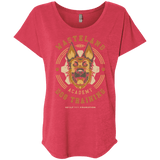 T-Shirts Vintage Red / X-Small Dogmeat Training Academy Triblend Dolman Sleeve
