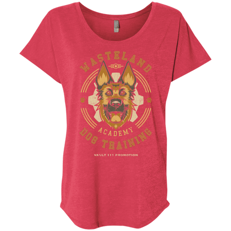 T-Shirts Vintage Red / X-Small Dogmeat Training Academy Triblend Dolman Sleeve