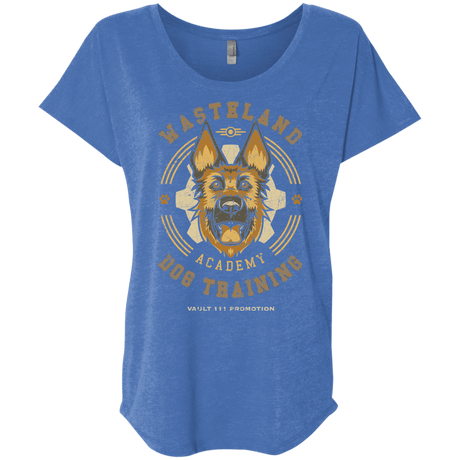 T-Shirts Vintage Royal / X-Small Dogmeat Training Academy Triblend Dolman Sleeve