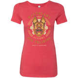 T-Shirts Vintage Red / S Dogmeat Training Academy Women's Triblend T-Shirt