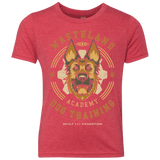 T-Shirts Vintage Red / YXS Dogmeat Training Academy Youth Triblend T-Shirt
