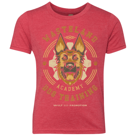 T-Shirts Vintage Red / YXS Dogmeat Training Academy Youth Triblend T-Shirt