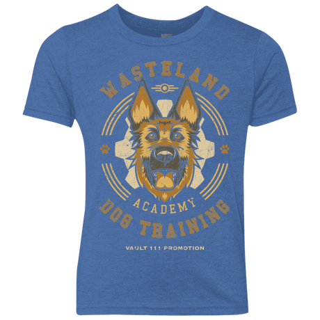 T-Shirts Vintage Royal / YXS Dogmeat Training Academy Youth Triblend T-Shirt