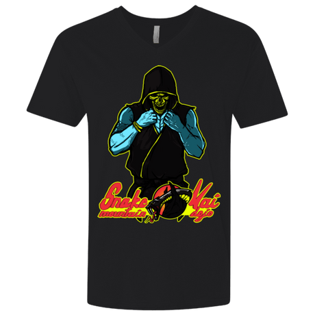 T-Shirts Black / X-Small Dojo Master Men's Premium V-Neck