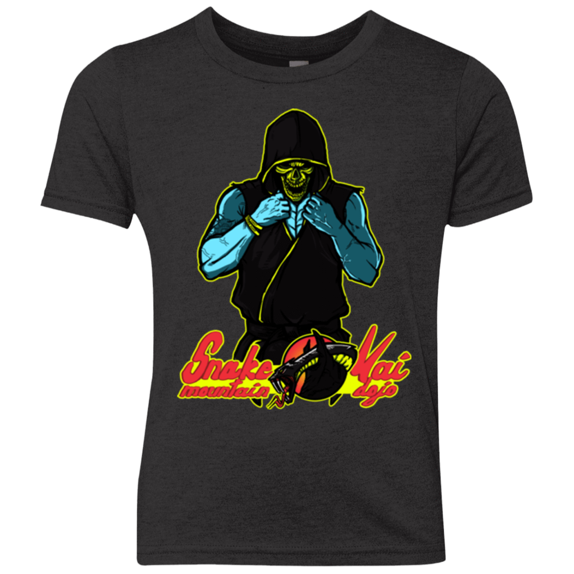 T-Shirts Vintage Black / YXS Dojo Master Youth Triblend T-Shirt