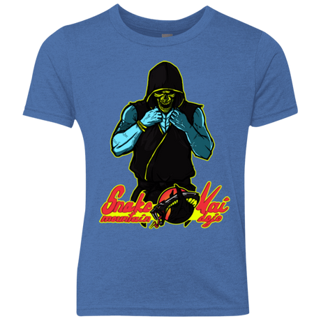 T-Shirts Vintage Royal / YXS Dojo Master Youth Triblend T-Shirt