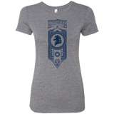 T-Shirts Premium Heather / Small Dothraki Women's Triblend T-Shirt