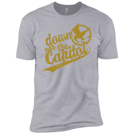 T-Shirts Heather Grey / YXS Down with the Capitol Boys Premium T-Shirt