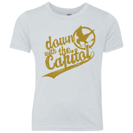 T-Shirts Heather White / YXS Down with the Capitol Youth Triblend T-Shirt