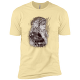 Dracarys Men's Premium T-Shirt