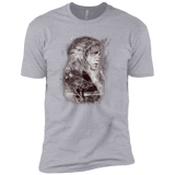 T-Shirts Heather Grey / X-Small Dracarys Men's Premium T-Shirt