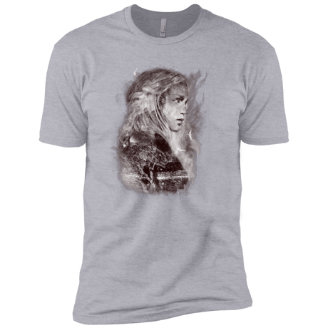 T-Shirts Heather Grey / X-Small Dracarys Men's Premium T-Shirt