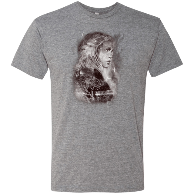 T-Shirts Premium Heather / Small Dracarys Men's Triblend T-Shirt
