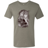T-Shirts Venetian Grey / Small Dracarys Men's Triblend T-Shirt