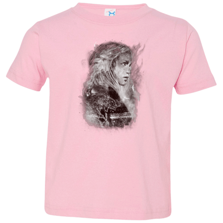 T-Shirts Pink / 2T Dracarys Toddler Premium T-Shirt