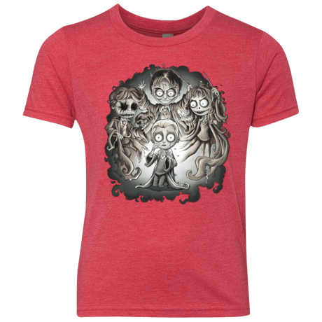 T-Shirts Vintage Red / YXS Dracos Nightmare Youth Triblend T-Shirt