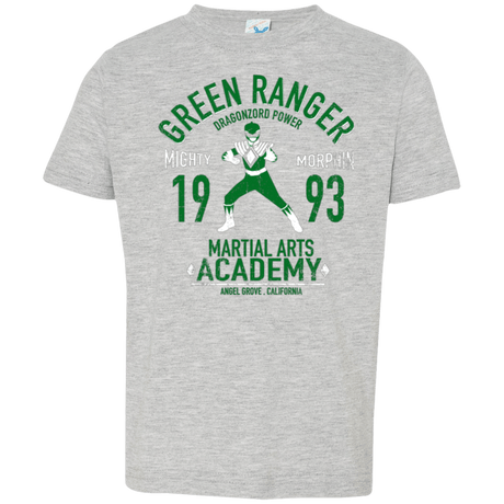 T-Shirts Heather / 2T Dragon Ranger Toddler Premium T-Shirt