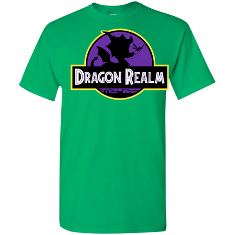 T-Shirts Irish Green / YXS Dragon Realm Park Youth T-Shirt