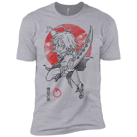 T-Shirts Heather Grey / YXS Dragon Wrath Boys Premium T-Shirt